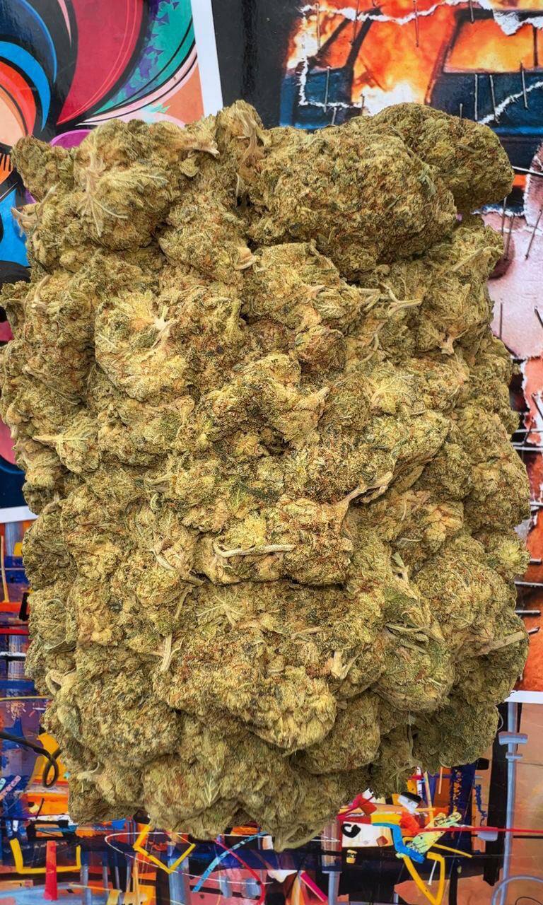 Bán Heroin Tinh Khiết: Giao Hàng Ẩn Danh